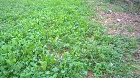 WP_20160202_17_23_26_Pro